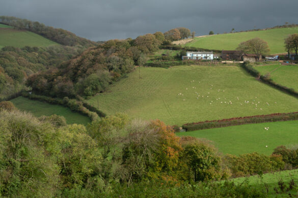Devon countryside after the rain