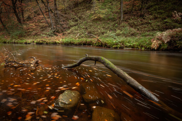 The flow of autumn - River Teign Dartmoor