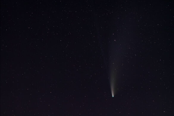 Comet Neowise (C2020 F3) by David Gibbeson