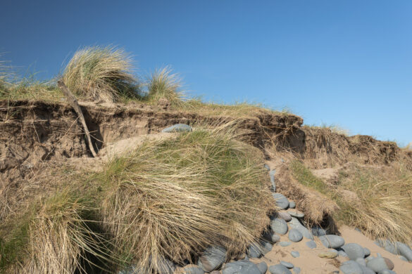 Coastal Erosion - David Gibbeson Photography