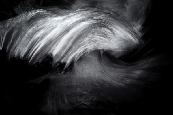 Poetic Motion - Limited Edition Fine Art Print by David Gibbeson
